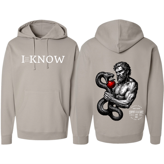 "I Don't Just Believe, I know" Resisting Temptation Badge Hoodie #7
