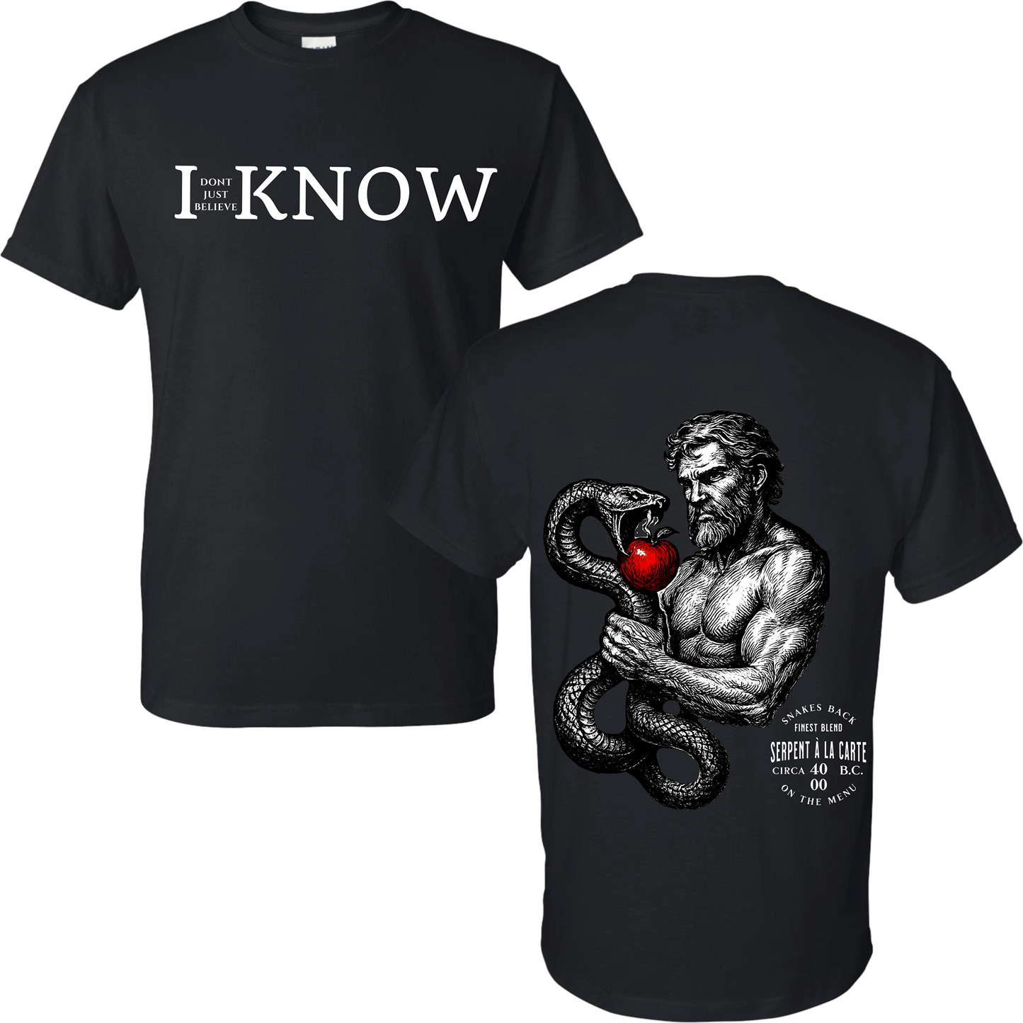 "I Don't Just Believe, I know" Resisting Temptation Badge T-Shirt #7