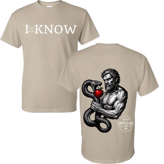 "I Don't Just Believe, I know" Resisting Temptation Badge T-Shirt #7