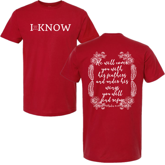 "I Don't Just Believe, I know" Psalm 91:4