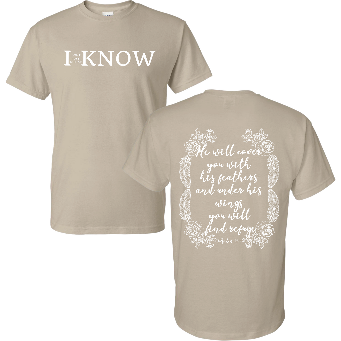"I Don't Just Believe, I know" Psalm 91:4